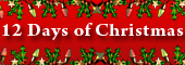 12 Days of Christmas / Queen City Christmas